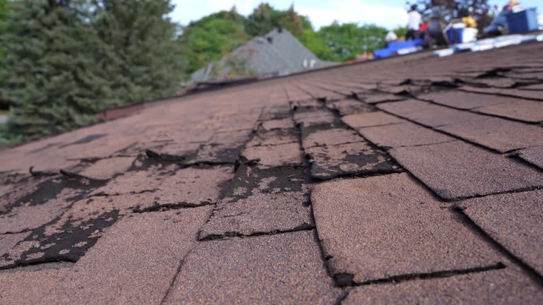 Best Emergency Roof Repair Services  in Valley Stream, NY